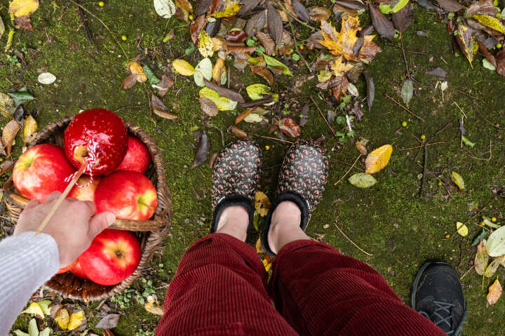 BLACKFOX Damen Winterclog Soane